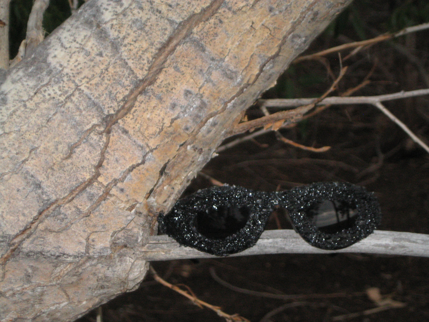 Onyx Frost (Black Ice sunglasses) with Oval frames